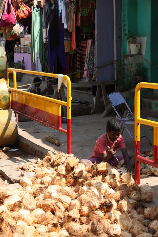 Kid with a large knife opening coconuts. How's that for child labour ...